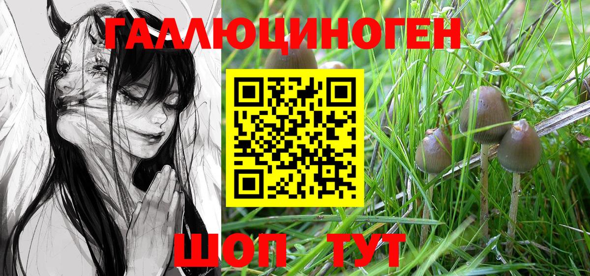 Галлюциногенные грибы Magic Shrooms  Псилоцибиновые грибы GOLDEN TEACHER  Вход с VPN  купить   Дзержинский 